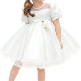 Little Girl's Sparkly Tulle Dress, Elegant Princess Dress LILAX