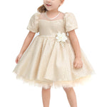 Little Girl's Sparkly Tulle Dress, Elegant Princess Dress LILAX