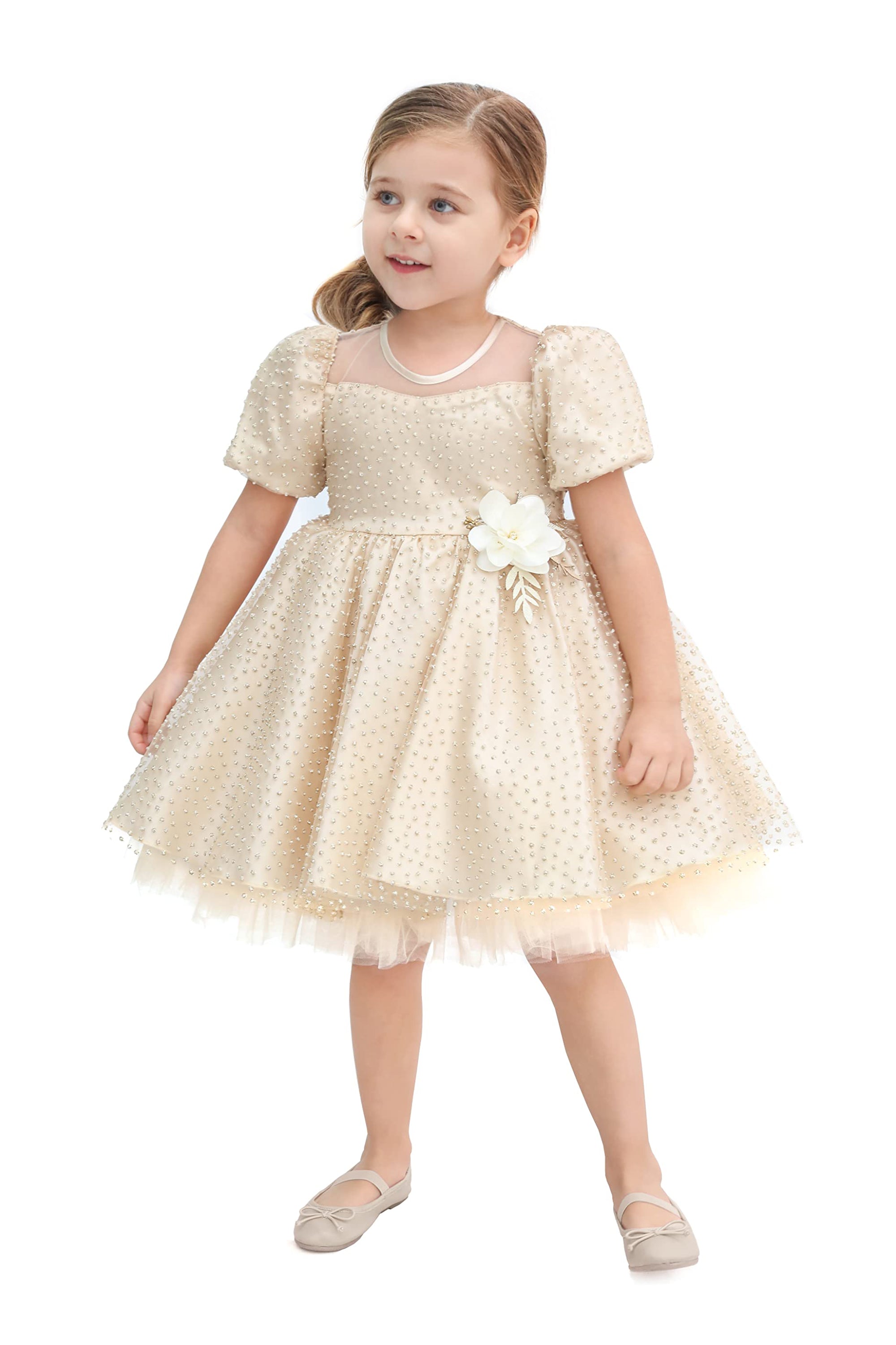 Little Girl's Sparkly Tulle Dress, Elegant Princess Dress LILAX