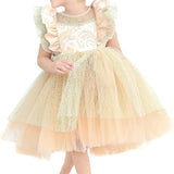 Baby girl dress with tulle skirt and ruffle sleeves; perfect for baby girl clothes & christmas gift ideas