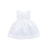 Baby Girls' Lace Floral Embroidered Dress Set