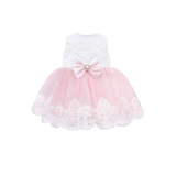 Newborn 6-Piece Lace & Tulle Princess Dress Set