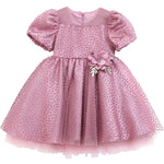 Little Girl's Sparkly Tulle Dress, Elegant Princess Dress LILAX