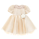 Little Girl's Sparkly Tulle Dress, Elegant Princess Dress LILAX