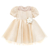 Little Girl's Sparkly Tulle Dress, Elegant Princess Dress LILAX