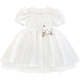 Little Girl's Sparkly Tulle Dress, Elegant Princess Dress LILAX