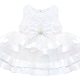 Charming Floral Lace Dress with Layered Tulle Tutu Gown Set for Girls LILAX