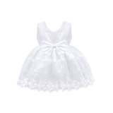 Baby Girls' Lace Floral Embroidered Dress Set