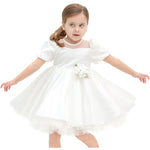 Little Girl's Sparkly Tulle Dress, Elegant Princess Dress LILAX