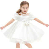 Little Girl's Sparkly Tulle Dress, Elegant Princess Dress LILAX