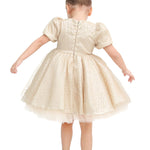 Little Girl's Sparkly Tulle Dress, Elegant Princess Dress LILAX