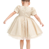 Little Girl's Sparkly Tulle Dress, Elegant Princess Dress LILAX