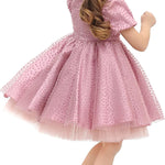 Little Girl's Sparkly Tulle Dress, Elegant Princess Dress LILAX