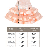 Charming Floral Lace Dress with Layered Tulle Tutu Gown Set for Girls