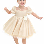 Little Girl's Sparkly Tulle Dress, Elegant Princess Dress LILAX