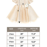 Little Girl's Sparkly Tulle Dress, Elegant Princess Dress LILAX